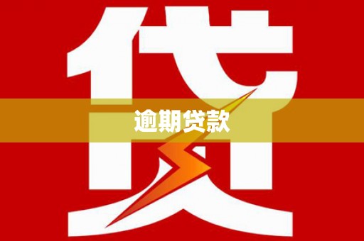 海晏逾期贷款